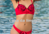 conjunto de sutia