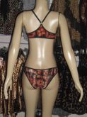 conjunto de sutiã