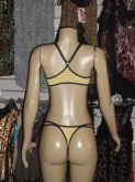 conjunto de sutiã