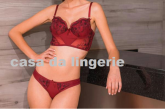 conjunto de sutia